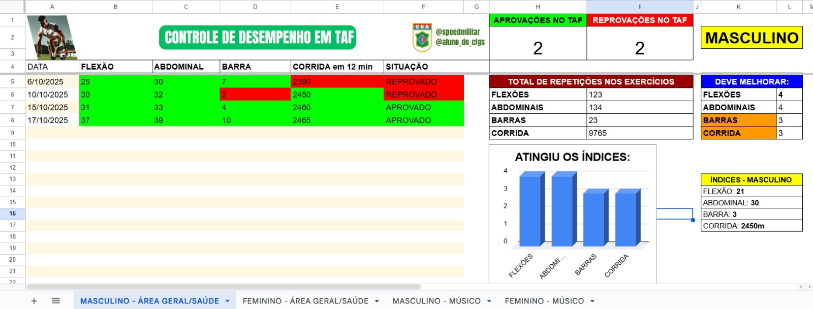 Planilha de desempenho TAF